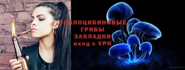 дурь Алексеевка