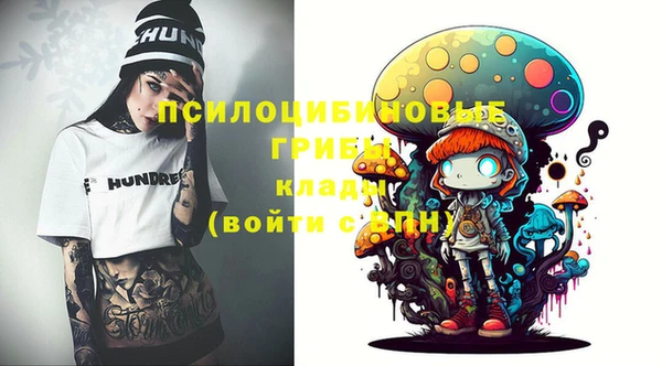 ГАЛЛЮЦИНОГЕННЫЕ ГРИБЫ Алексин