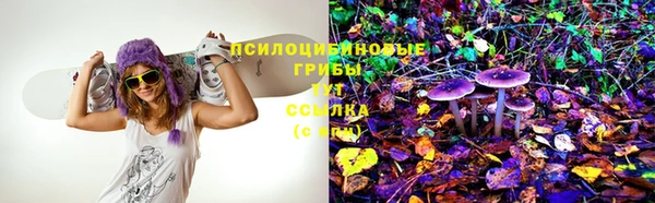 дурь Алексеевка