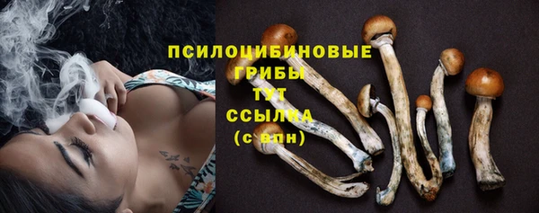 винт Абаза