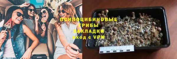 винт Абаза