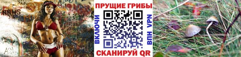 Галлюциногенные грибы GOLDEN TEACHER  ссылка на мегу ссылки  Ува  наркошоп 